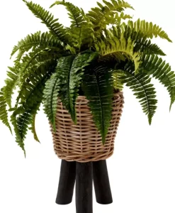 Plantas Artificiais-CASA Boston Sambaia Verde