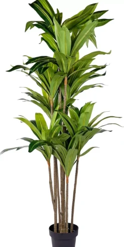 Plantas Artificiais-CASA Brazi Planta Verde