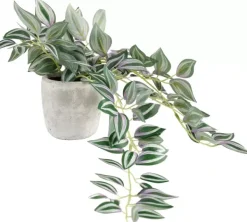 Plantas Artificiais-CASA Calathea Planta Pendente Cinzento, Verde, Roxo