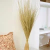 Plantas Artificiais-CASA Cogon Feixe De Relva Natural