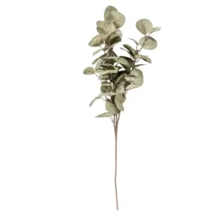 Ramos Artificiais-CASA Eva Eucalipto Verde