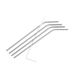 Acessórios Cocktail-CASA Fancy Palhas Com Escova Prateado