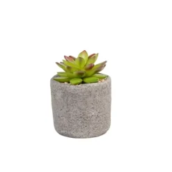 Plantas Artificiais-CASA Granit Cr Ssula Em Pote Verde