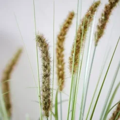 Ramos Artificiais-CASA Grass Cana Artificial Verde