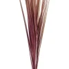 Ramos Artificiais-CASA Grass Feixe De Relva Vermelho