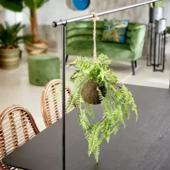 Plantas Artificiais-CASA Greenery Vaso Para Pendurar Com Samambaia Verde