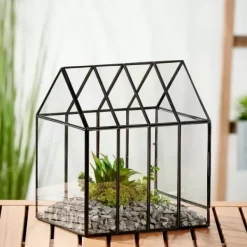 Vasos Em P-CASA Greenhouse Mini Estufa Transparente