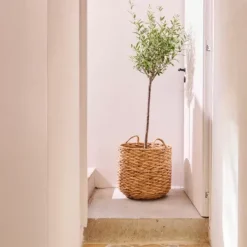 Cestos De Arrumação-CASA Joni Cesto Natural