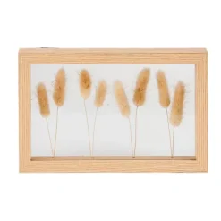 Decora O De Parede-CASA Lagurus Decora O De Parede Natural