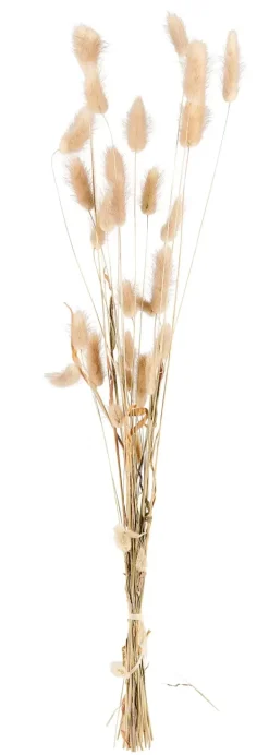 Flores Artificiais-CASA Lagurus Lagurus Natural