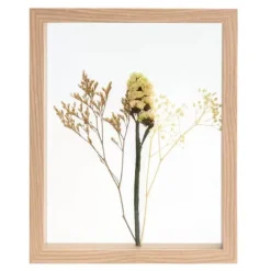 Decora O De Parede-CASA Limonium Decora O De Parede Natural