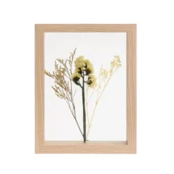 Decora O De Parede-CASA Limonium Decora O De Parede Natural