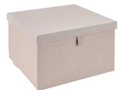 Caixas De Arrumação-CASA Linolux Caixa De Arrumação Com Tampa Bege