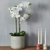 Plantas Artificiais-CASA Orchid Orqu Dea Em Vaso Branco
