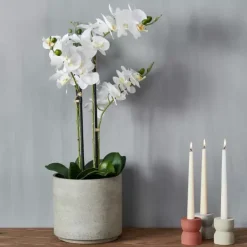 Plantas Artificiais-CASA Orchid Orqu Dea Em Vaso Branco