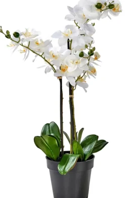 Plantas Artificiais-CASA Orchid Orqu Dea Em Vaso Branco