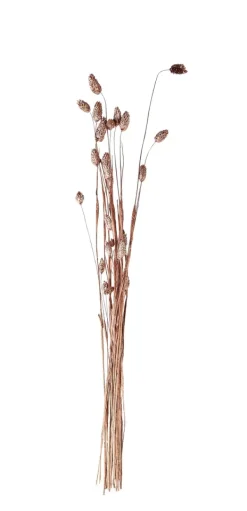 Plantas Artificiais-CASA Phalaris Relva Decorativa Acobreado