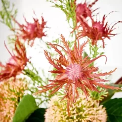 Ramos Artificiais-CASA Ruby Planta Artificial Vermelho