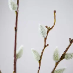 Ramos Artificiais-CASA Salica Ramo Artificial Verde