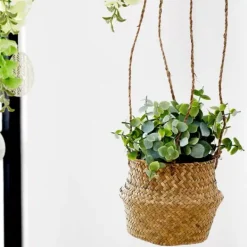 Plantas Artificiais-CASA Terra Planta Em Vaso Branco, Verde