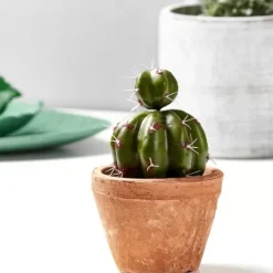 Vasos-CASA Tierra Vaso Terracota