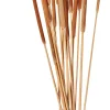 Flores Artificiais-CASA Typha Canas Conjunto De 15 Natural